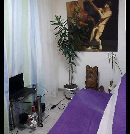 Casa Verde Тимишоара Экстерьер фото