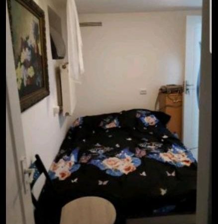 Casa Verde Тимишоара Экстерьер фото