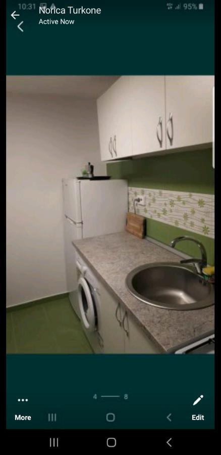 Casa Verde Тимишоара Экстерьер фото